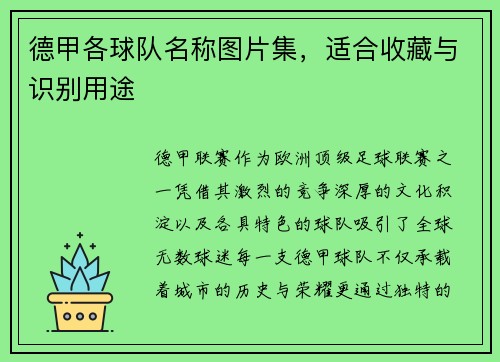 德甲各球队名称图片集，适合收藏与识别用途